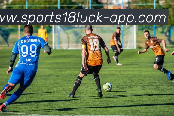 18新利体育服务体系